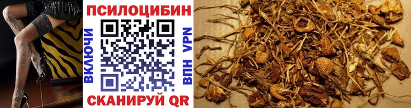 блэк спрут ссылка  Борзя  Галлюциногенные грибы MAGIC MUSHROOMS  купить наркотики сайты 