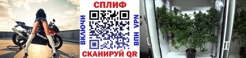 Шишки марихуана THC 21% Борзя